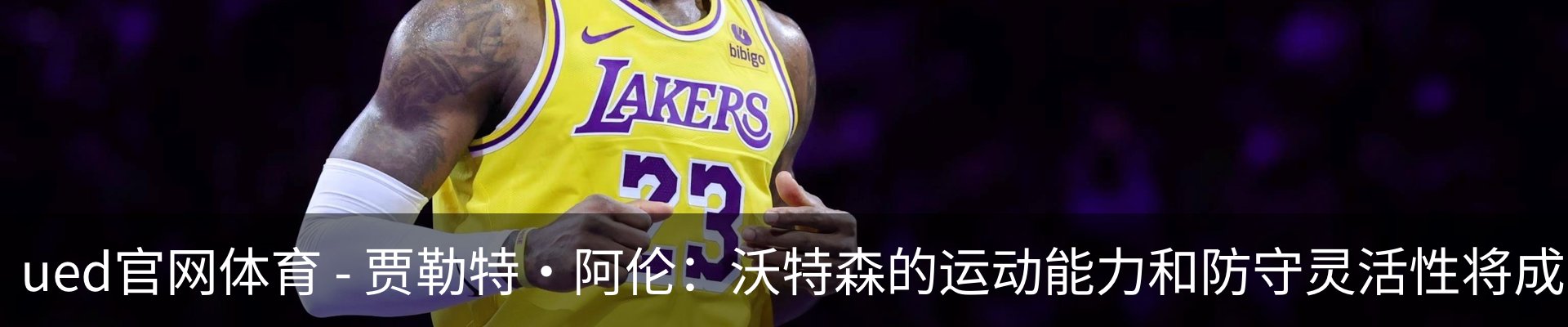 最新动态